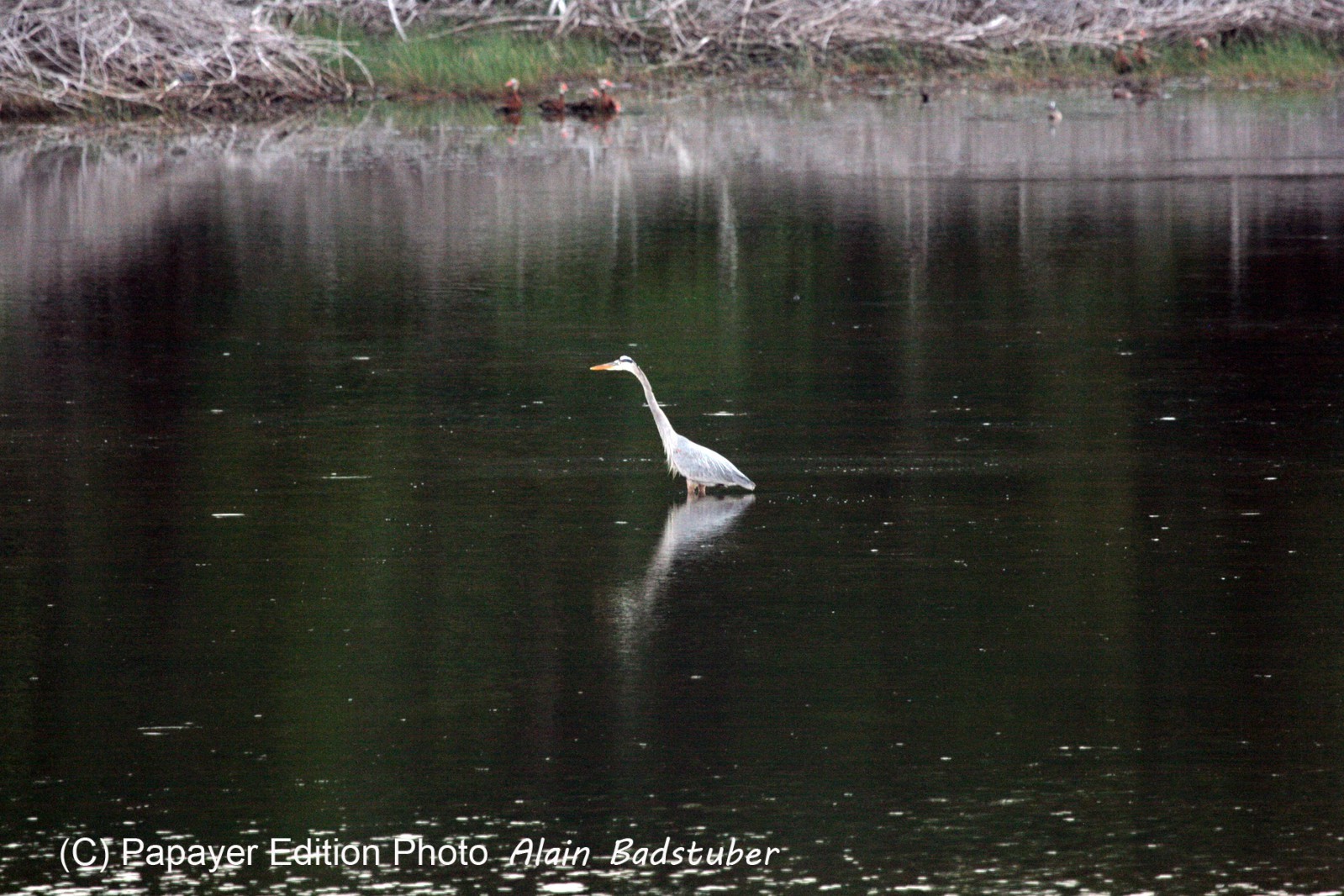 Images_Belize_2011_294