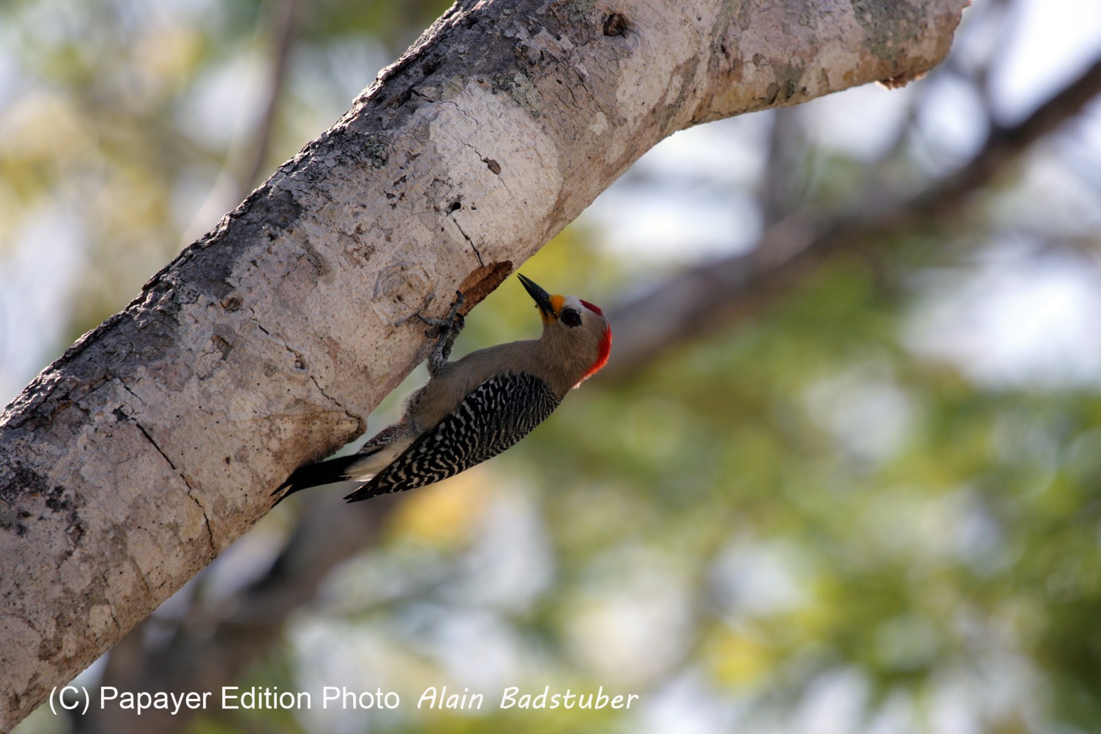 Images_Belize_2011_057