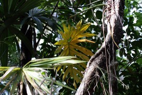 Images_Belize_2011_264