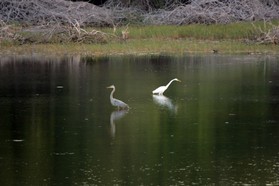 Images_Belize_2011_297