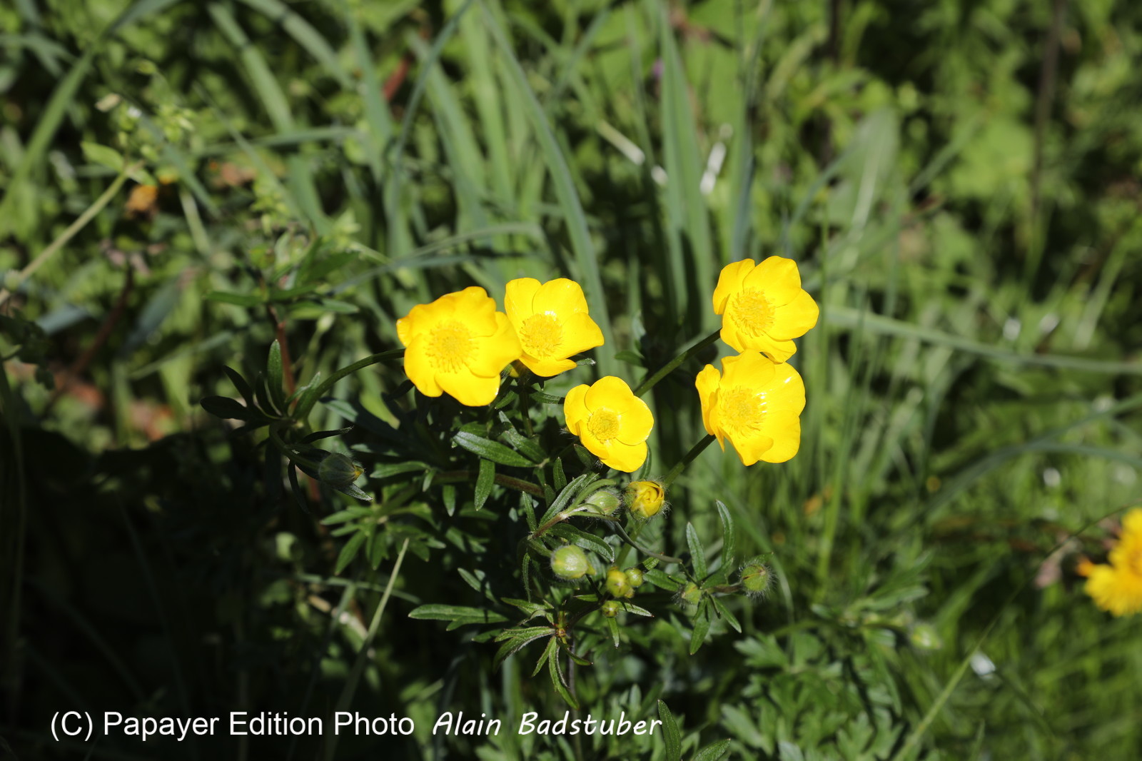 Ma balade du premier mai 2019