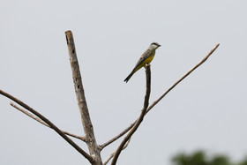 Deuxième séjour à Sarteneja, Bélize, Novembre - Décembre 2021