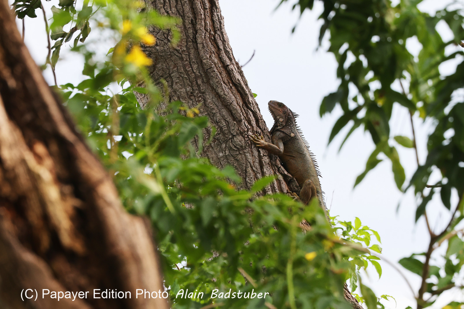 Punta Culebra Nature Center