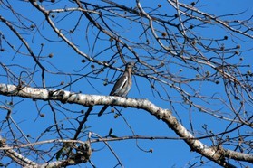 Images_Belize_2011_347